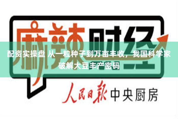 配资实操盘 从一粒种子到万亩丰收，我国科学家破解大豆丰产密码