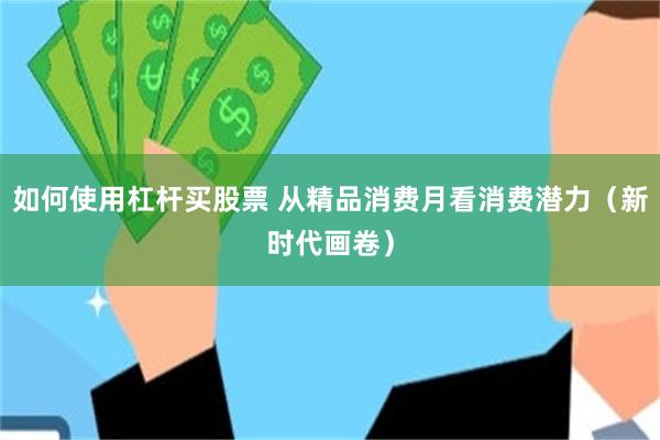 如何使用杠杆买股票 从精品消费月看消费潜力（新时代画卷）