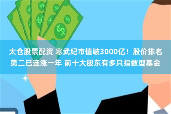太仓股票配资 寒武纪市值破3000亿！股价排名第二已连涨一年 前十大股东有多只指数型基金
