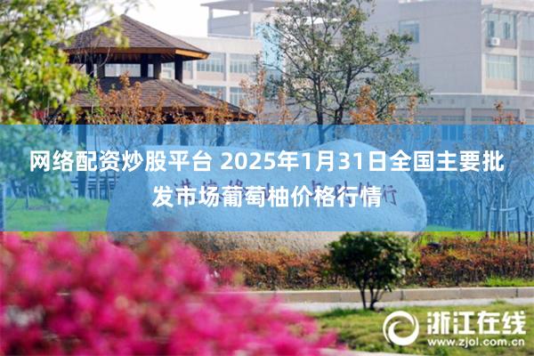 网络配资炒股平台 2025年1月31日全国主要批发市场葡萄柚价格行情