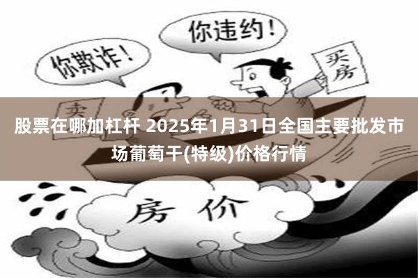 股票在哪加杠杆 2025年1月31日全国主要批发市场葡萄干(特级)价格行情
