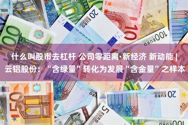什么叫股市去杠杆 公司零距离·新经济 新动能 | 云铝股份：“含绿量”转化为发展“含金量”之样本