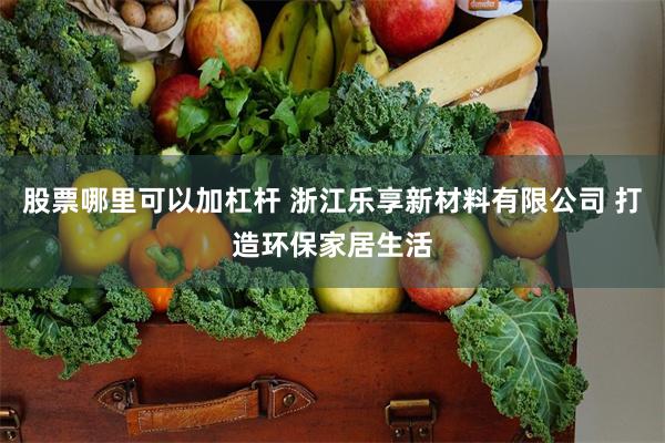 股票哪里可以加杠杆 浙江乐享新材料有限公司 打造环保家居生活