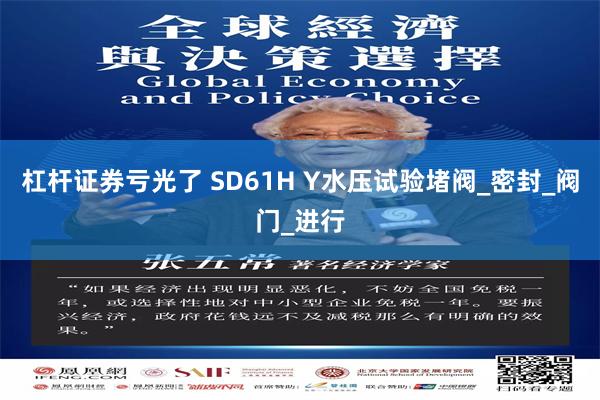 杠杆证券亏光了 SD61H Y水压试验堵阀_密封_阀门_进行