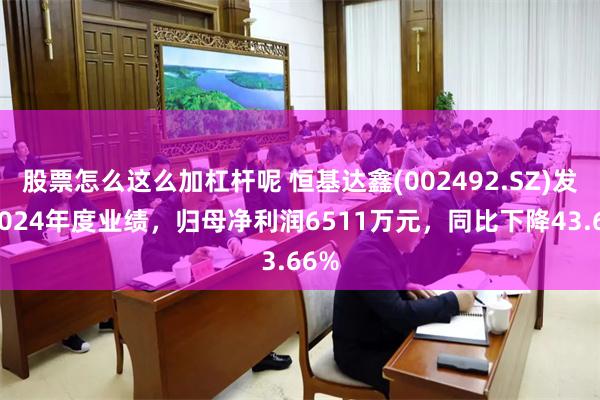 股票怎么这么加杠杆呢 恒基达鑫(002492.SZ)发布2024年度业绩，归母净利润6511万元，同比下降43.66%