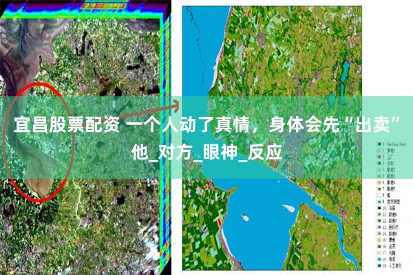 宜昌股票配资 一个人动了真情，身体会先“出卖”他_对方_眼神_反应