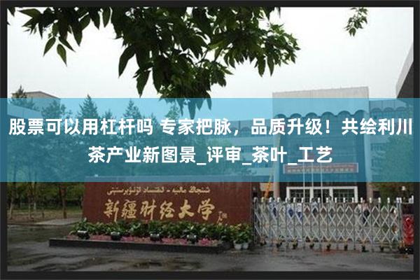 股票可以用杠杆吗 专家把脉，品质升级！共绘利川茶产业新图景_评审_茶叶_工艺