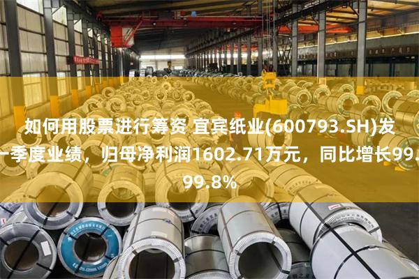 如何用股票进行筹资 宜宾纸业(600793.SH)发布一季度业绩，归母净利润1602.71万元，同比增长99.8%