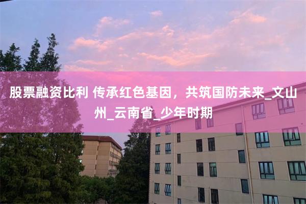 股票融资比利 传承红色基因，共筑国防未来_文山州_云南省_少年时期