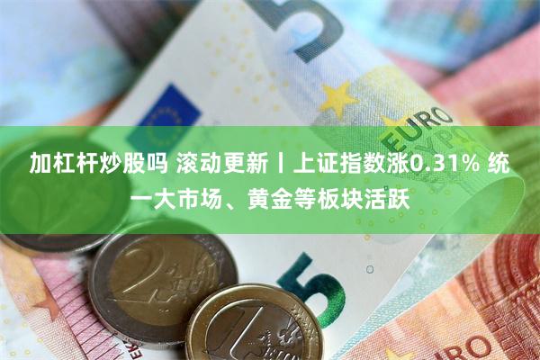 加杠杆炒股吗 滚动更新丨上证指数涨0.31% 统一大市场、黄金等板块活跃