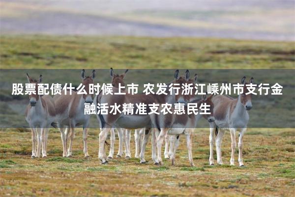股票配债什么时候上市 农发行浙江嵊州市支行金融活水精准支农惠民生