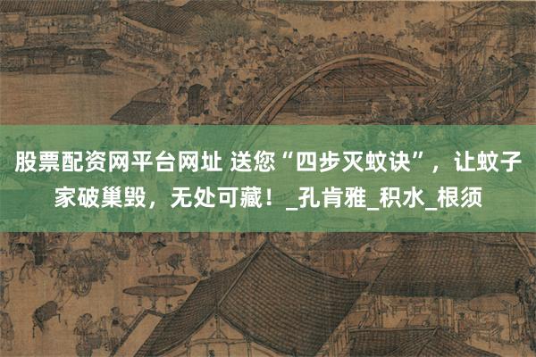 股票配资网平台网址 送您“四步灭蚊诀”，让蚊子家破巢毁，无处可藏！_孔肯雅_积水_根须