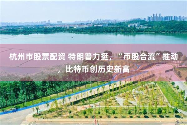 杭州市股票配资 特朗普力挺，“币股合流”推动，比特币创历史新高