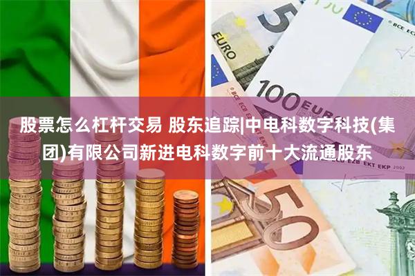 股票怎么杠杆交易 股东追踪|中电科数字科技(集团)有限公司新进电科数字前十大流通股东
