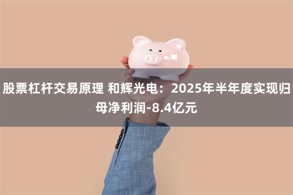 股票杠杆交易原理 和辉光电：2025年半年度实现归母净利润-8.4亿元