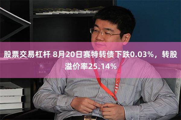股票交易杠杆 8月20日赛特转债下跌0.03%，转股溢价率25.14%