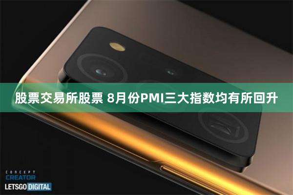 股票交易所股票 8月份PMI三大指数均有所回升