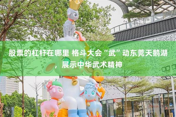 股票的杠杆在哪里 格斗大会“武”动东莞天鹅湖，展示中华武术精神