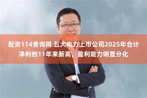 配资114查询网 五大电力上市公司2025年合计净利创11年来新高，盈利能力明显分化