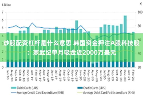 炒股配资杠杆是什么意思 韩国资金押注A股科技股:寒武纪单月吸金近2000万美元