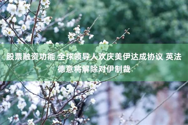 股票融资功能 全球领导人欢庆美伊达成协议 英法德意将解除对伊制裁