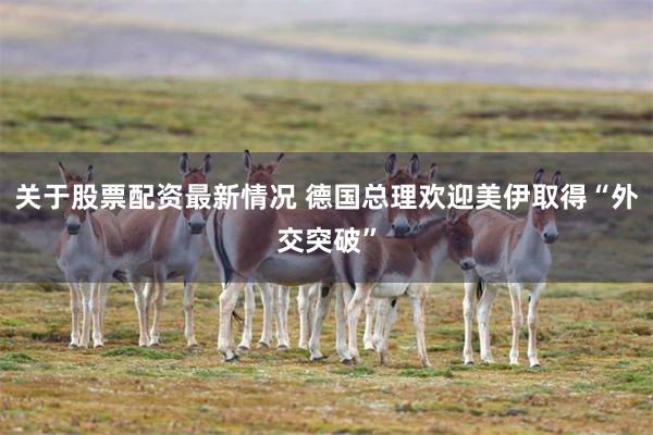 关于股票配资最新情况 德国总理欢迎美伊取得“外交突破”
