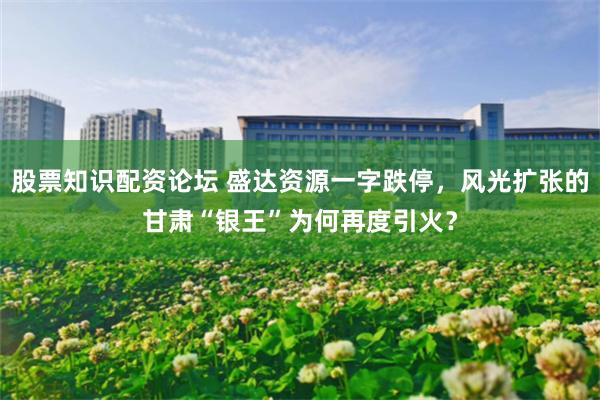 股票知识配资论坛 盛达资源一字跌停，风光扩张的甘肃“银王”为何再度引火？