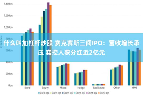 什么叫加杠杆炒股 赛克赛斯三闯IPO：营收增长承压 实控人获分红近2亿元