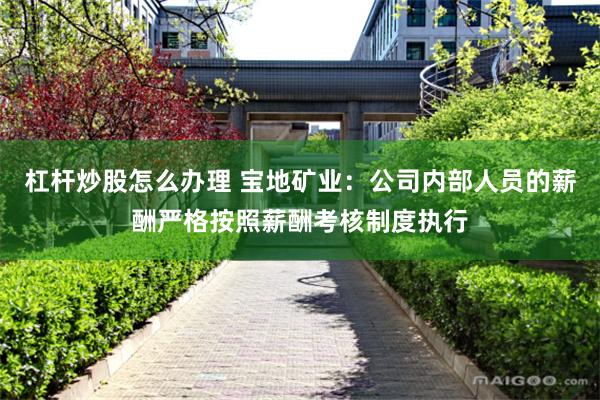 杠杆炒股怎么办理 宝地矿业：公司内部人员的薪酬严格按照薪酬考核制度执行