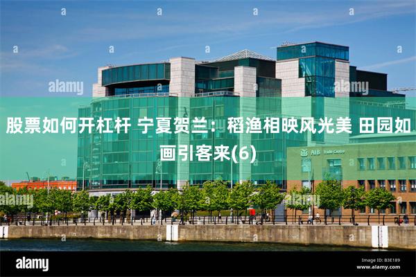 股票如何开杠杆 宁夏贺兰：稻渔相映风光美 田园如画引客来(6)