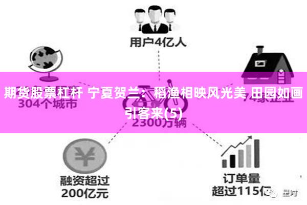 期货股票杠杆 宁夏贺兰：稻渔相映风光美 田园如画引客来(5)