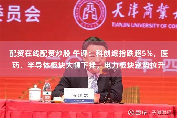 配资在线配资炒股 午评:科创综指跌超5%,医药、半导体板块大幅下挫,电力板块逆势拉升