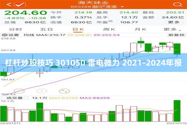 杠杆炒股技巧 301050 雷电微力 2021-2024年报