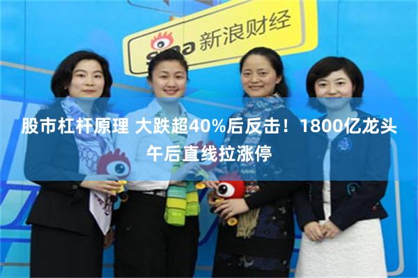 股市杠杆原理 大跌超40%后反击！1800亿龙头午后直线拉涨停