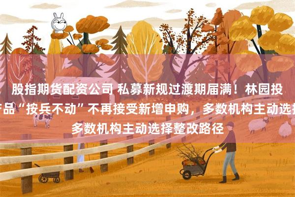 股指期货配资公司 私募新规过渡期届满！林园投资169只产品“按兵不动”不再接受新增申购，多数机构主动选择整改路径
