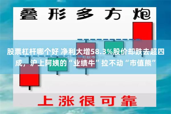 股票杠杆哪个好 净利大增58.3%股价却跌去超四成，沪上阿姨的“业绩牛”拉不动“市值熊”