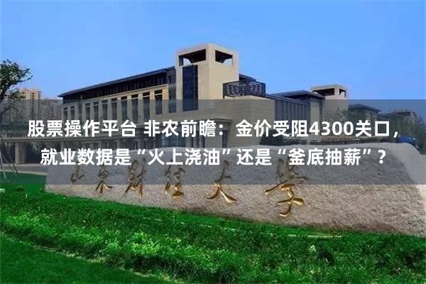 股票操作平台 非农前瞻：金价受阻4300关口，就业数据是“火上浇油”还是“釜底抽薪”？