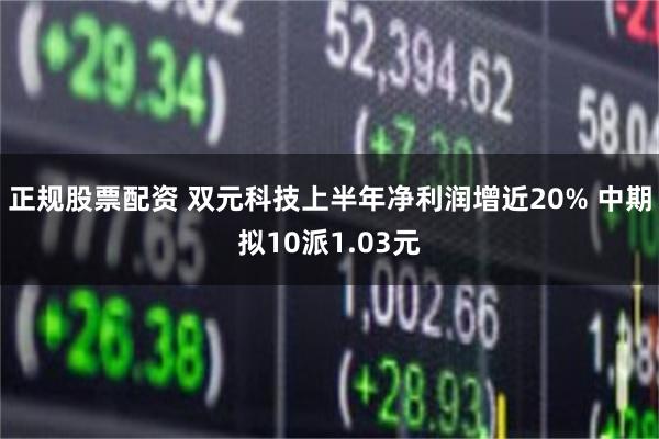 正规股票配资 双元科技上半年净利润增近20% 中期拟10派1.03元