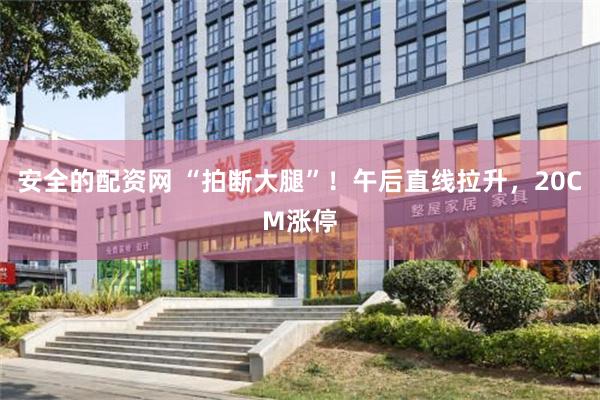 安全的配资网 “拍断大腿”！午后直线拉升，20CM涨停