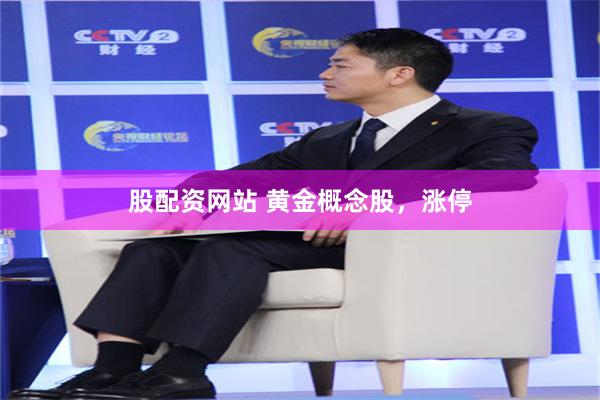 股配资网站 黄金概念股,涨停