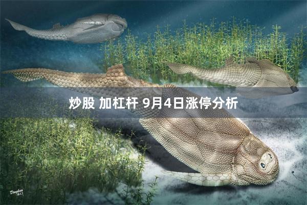 炒股 加杠杆 9月4日涨停分析