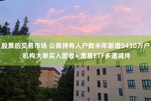 股票的交易市场 公募持有人户数半年新增5430万户 机构大举买入固收+ 宽基ETF多遭减持