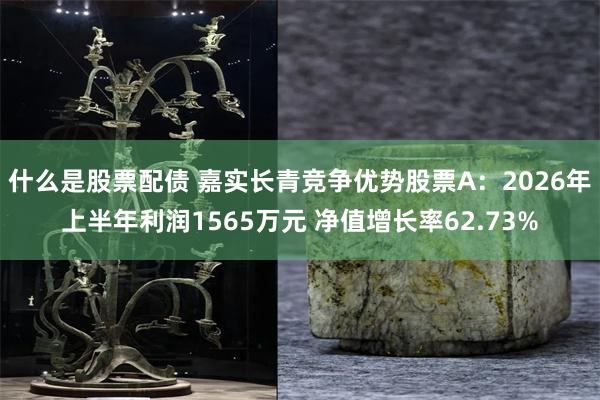 什么是股票配债 嘉实长青竞争优势股票A：2026年上半年利润1565万元 净值增长率62.73%