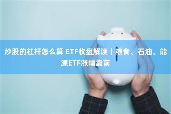 炒股的杠杆怎么算 ETF收盘解读丨粮食、石油、能源ETF涨幅靠前