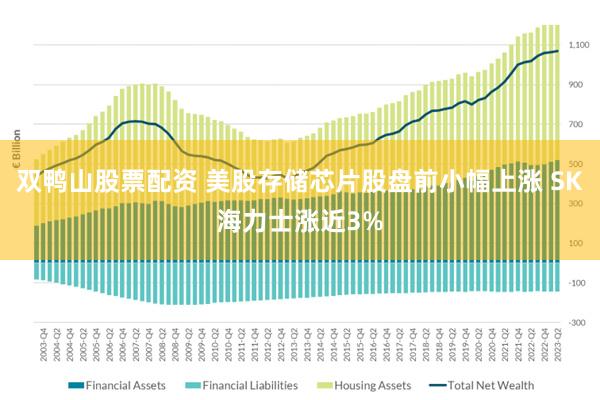 双鸭山股票配资 美股存储芯片股盘前小幅上涨 SK海力士涨近3%