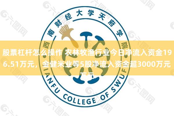 股票杠杆怎么操作 农林牧渔行业今日净流入资金196.51万元,金健米业等5股净流入资金超3000万元