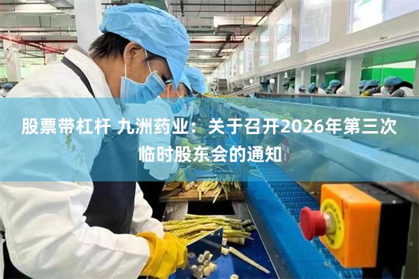 股票带杠杆 九洲药业：关于召开2026年第三次临时股东会的通知