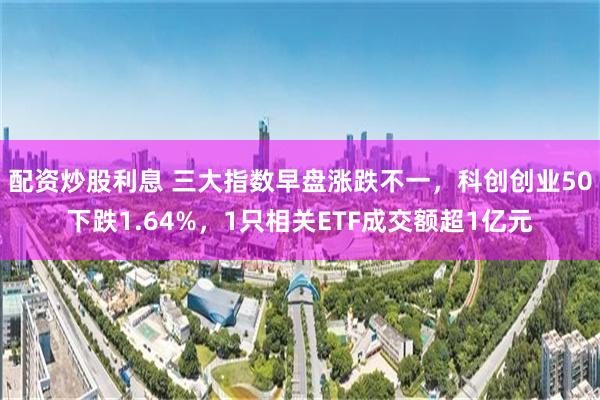 配资炒股利息 三大指数早盘涨跌不一，科创创业50下跌1.64%，1只相关ETF成交额超1亿元