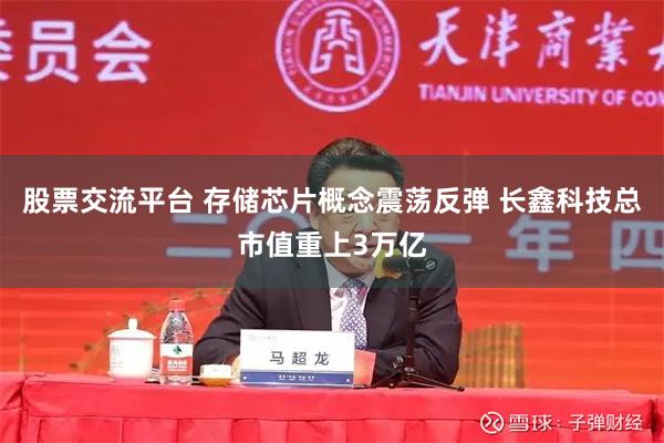 股票交流平台 存储芯片概念震荡反弹 长鑫科技总市值重上3万亿