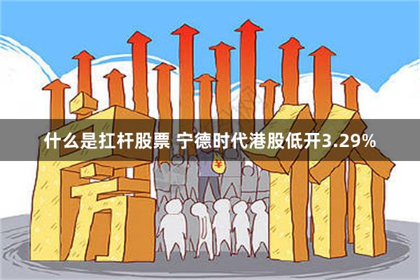什么是扛杆股票 宁德时代港股低开3.29%